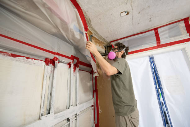 Best Commercial Mold Inspection  in Putney, GA